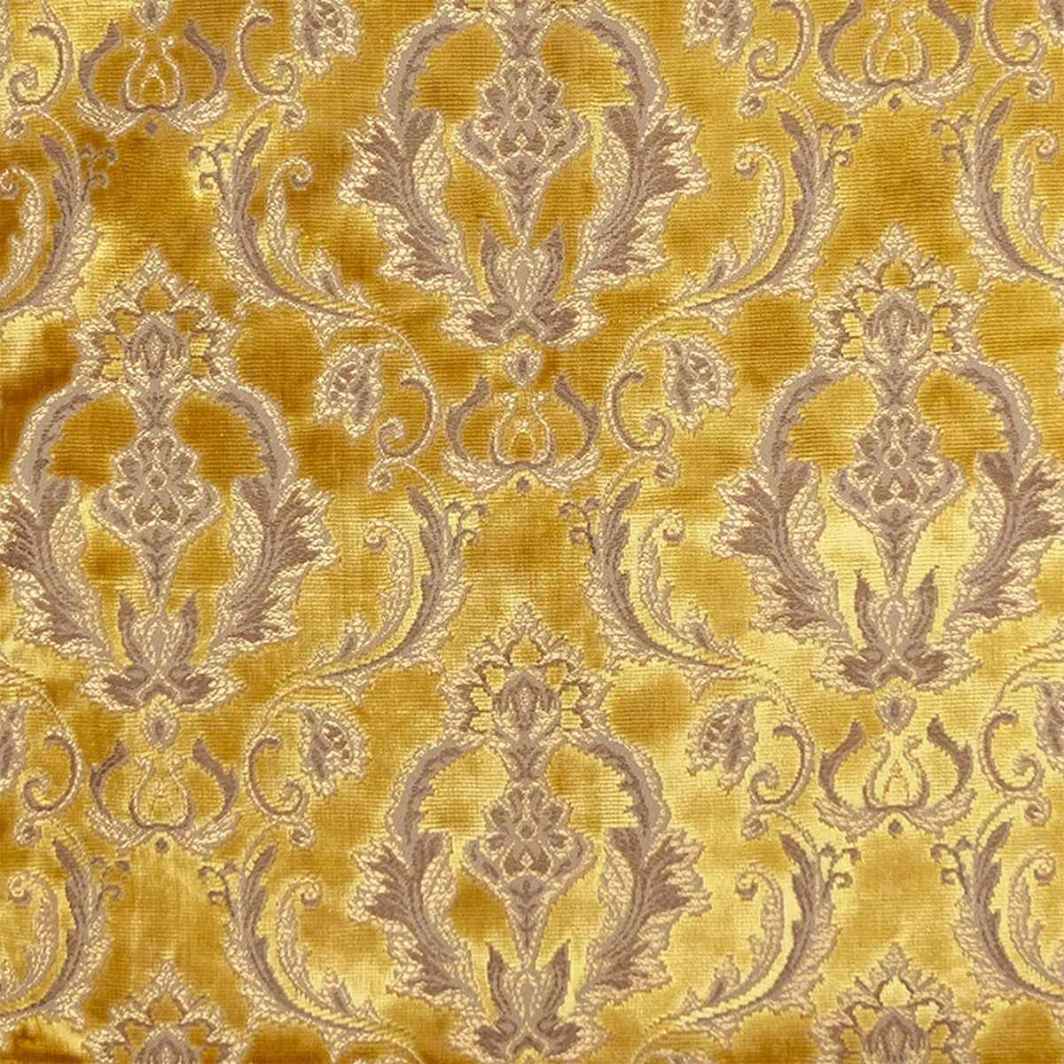Monte Damask Velvet Fabric - Gold